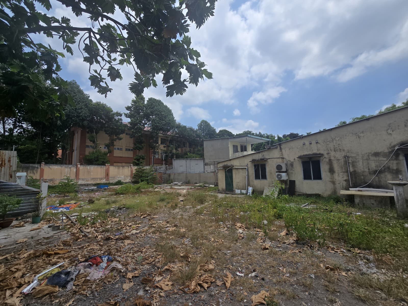 image-2